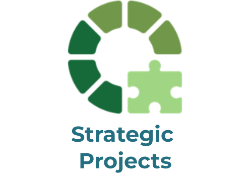 Logo Strategic Projects