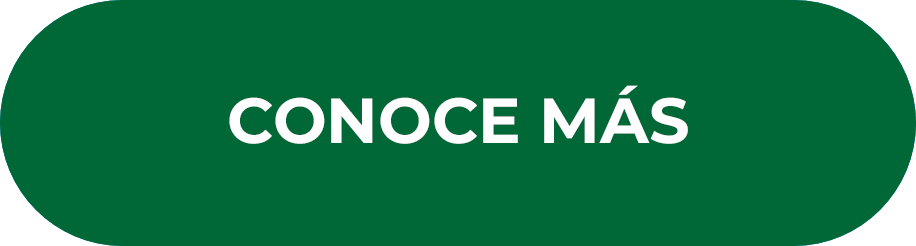 CONOCE MÁS