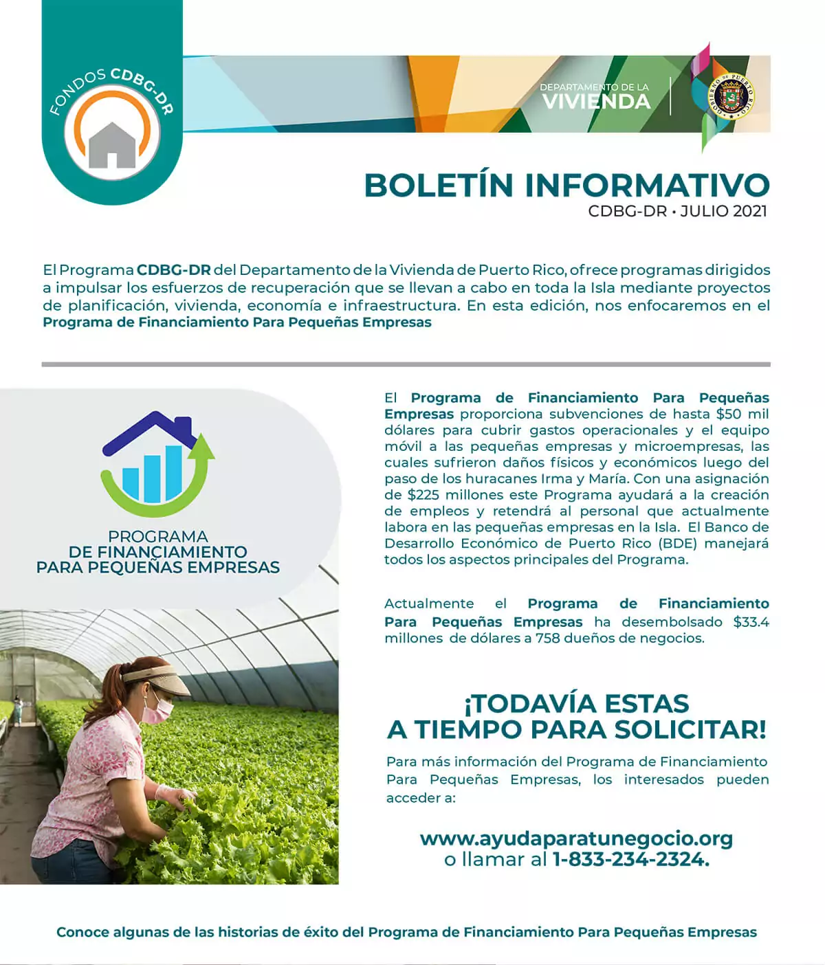 Boletín Informativo