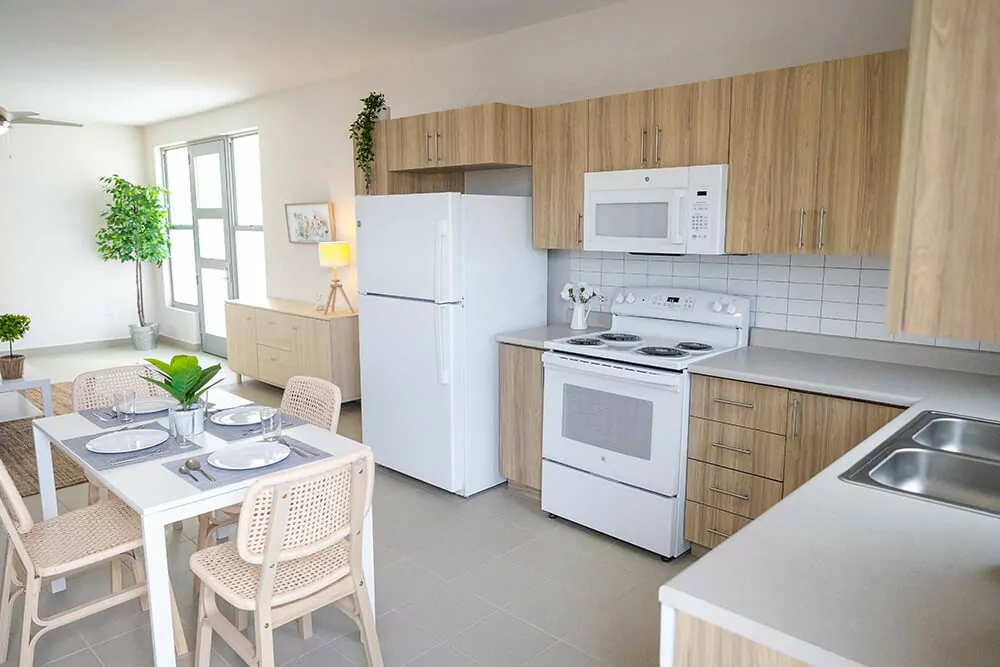 Proyecto Villas at Emerald Vista- Barrio Turabo en Caguas - antiguo Residencial José Gautier Benítez (4)