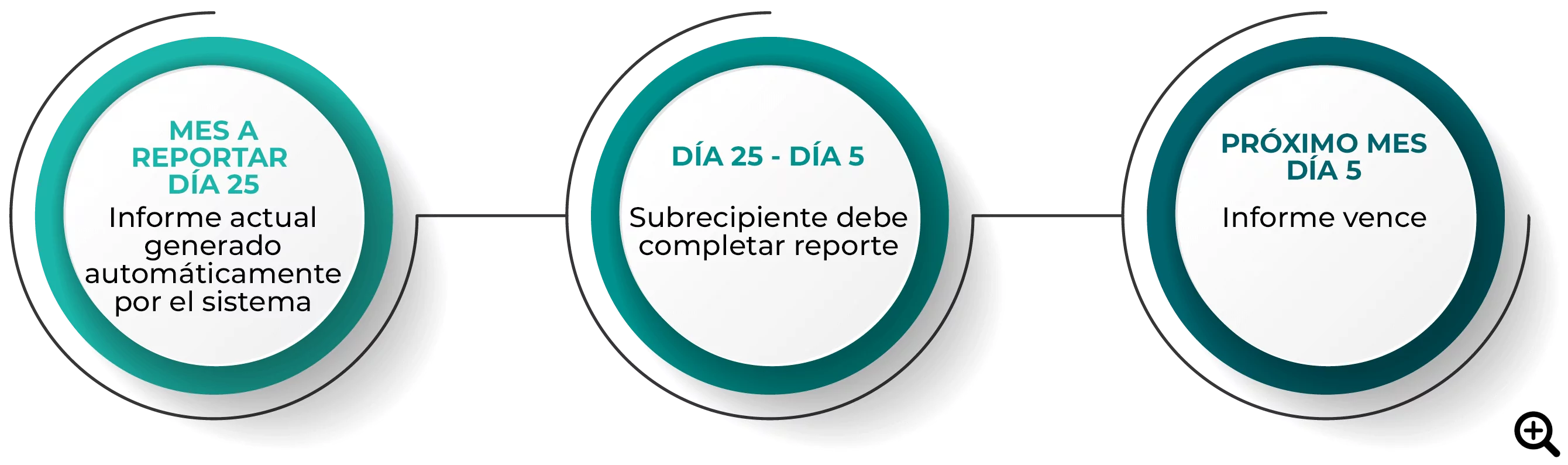 Los nuevos informes están disponibles el día 25 del mes que debe reportar y vencen el día 5 del mes siguiente.