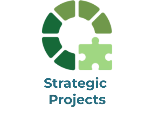 Logo Strategic Projects