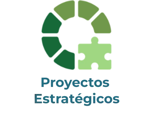 Logo de Proyectos Estrátegicos