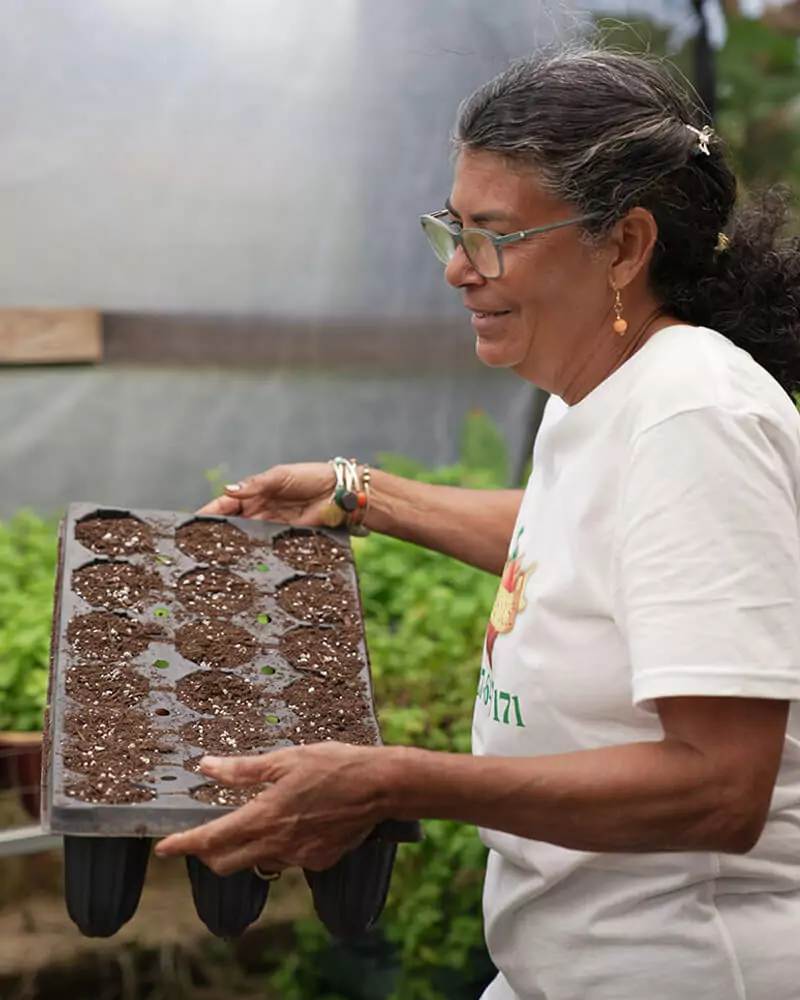 Marilyn Rosas Agroempresaria/apicultura de Fresas y Uvas Rose