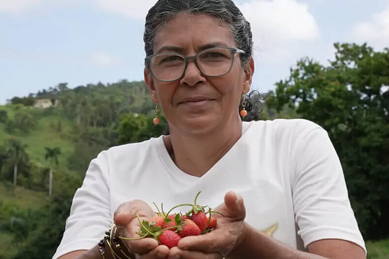 Marilyn Rosas Agroempresaria/apicultura de Fresas y Uvas Rose
