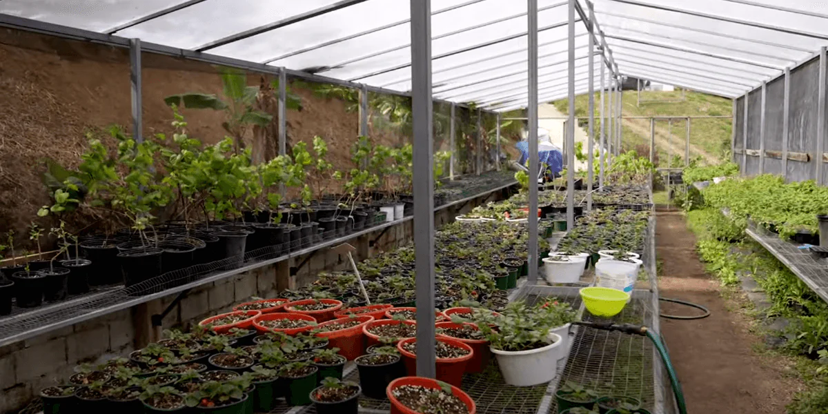 Screenshot-2023-10-25-150041