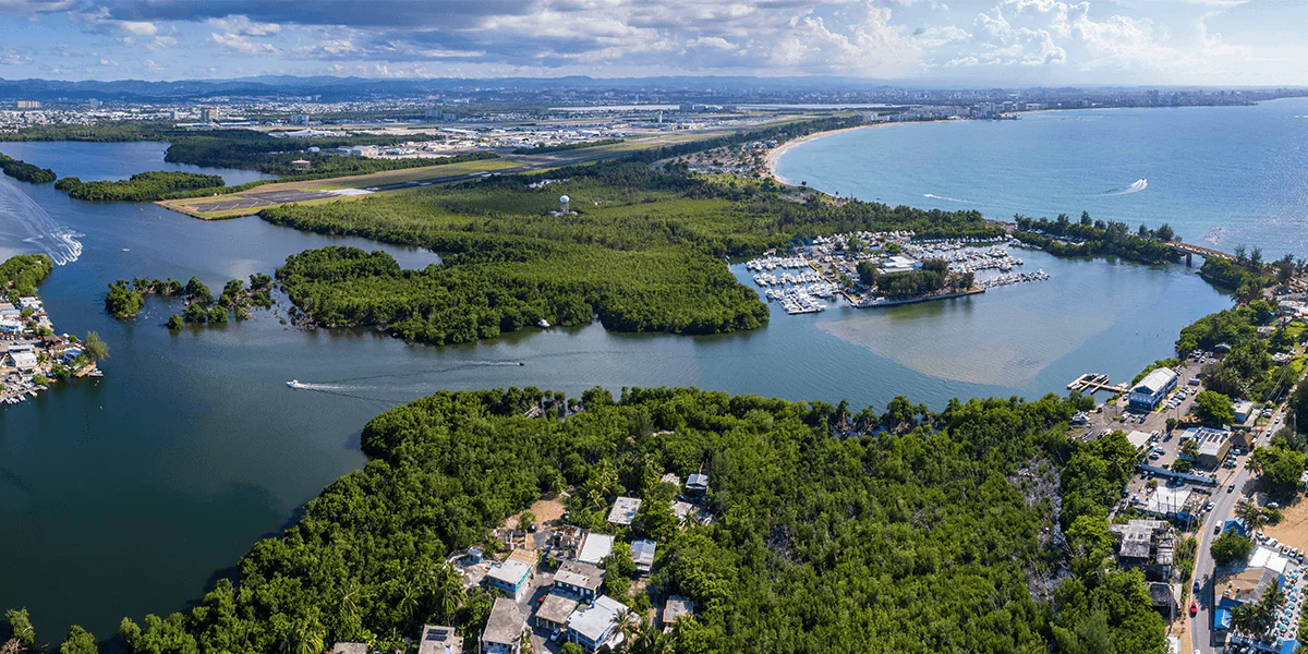 shutterstock_2314698265_mit (1)