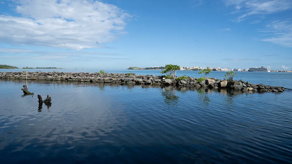 Perseverancia empresarial - Canelita Fishing – Programa Re-Grow Foto 1