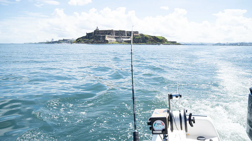 Perseverancia empresarial - Canelita Fishing – Programa Re-Grow Foto 2