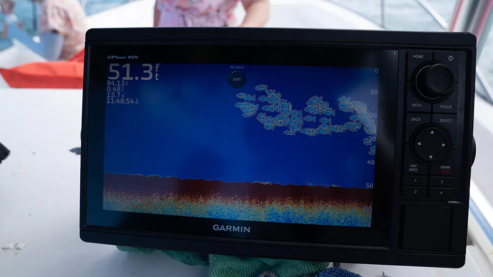 Perseverancia empresarial - Canelita Fishing – Programa Re-Grow Foto 5