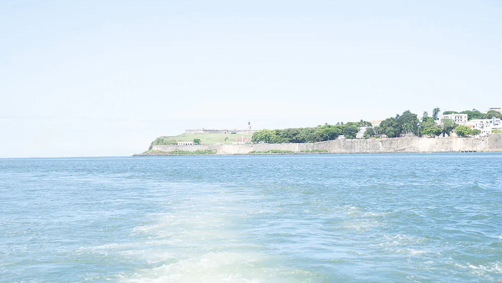 Perseverancia empresarial - Canelita Fishing – Programa Re-Grow Foto 6