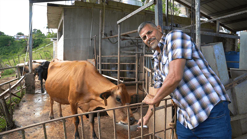 Requesón El Mocano: un renacer 100% boricua Foto 2