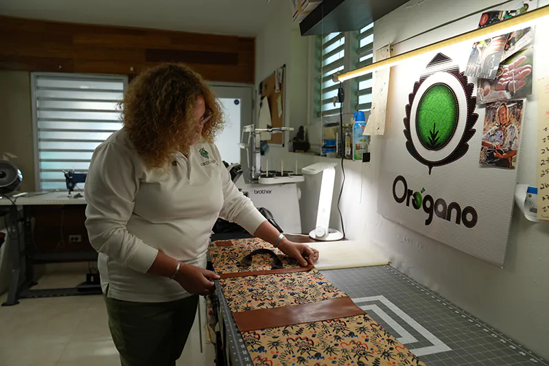 Tan próspero como el Orégano Foto 9