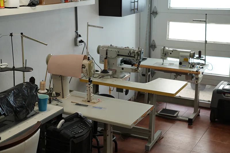 Tan próspero como el Orégano Foto 4