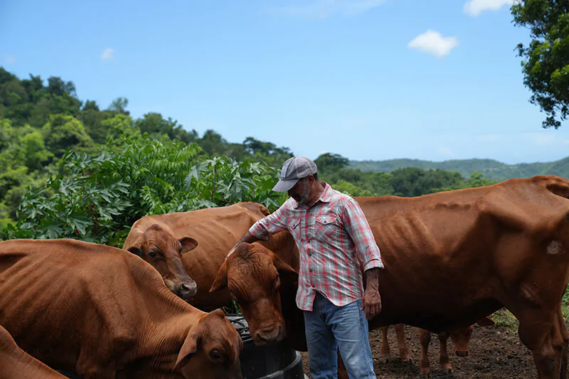Nostra Raza Finca agroecológica diseñada y gestionada para la sostenibilidad Foto 10