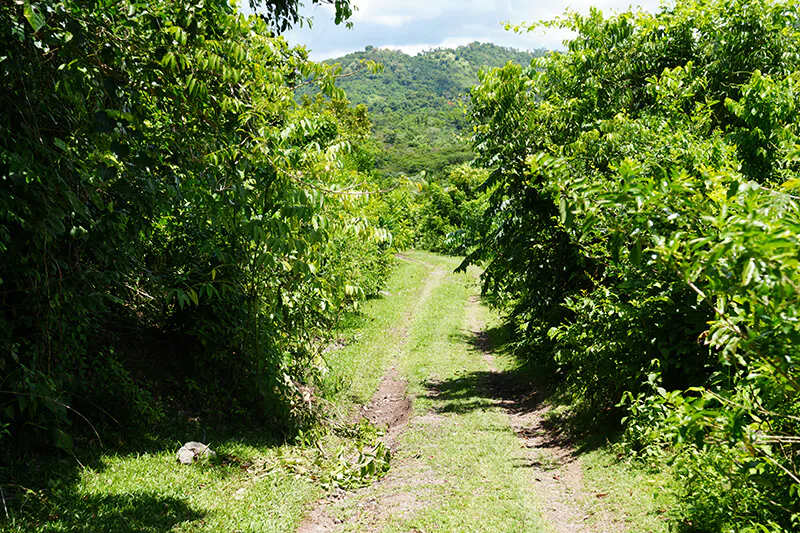 Nostra Raza Finca agroecológica diseñada y gestionada para la sostenibilidad Foto 13
