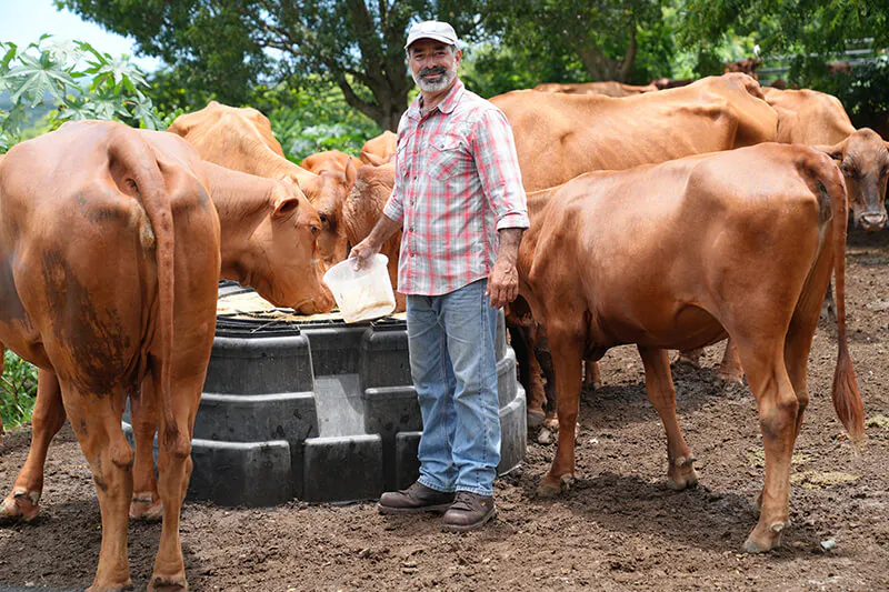 Nostra Raza Finca agroecológica diseñada y gestionada para la sostenibilidad Foto 3