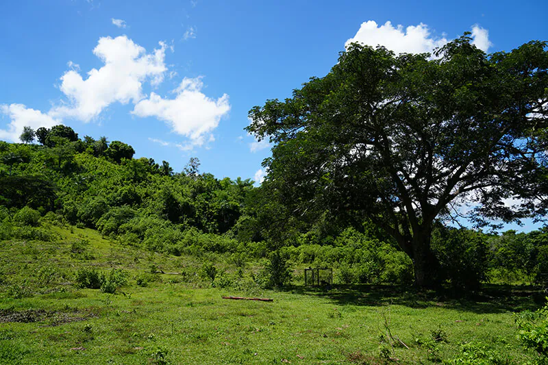 Nostra Raza Finca agroecológica diseñada y gestionada para la sostenibilidad Foto 7
