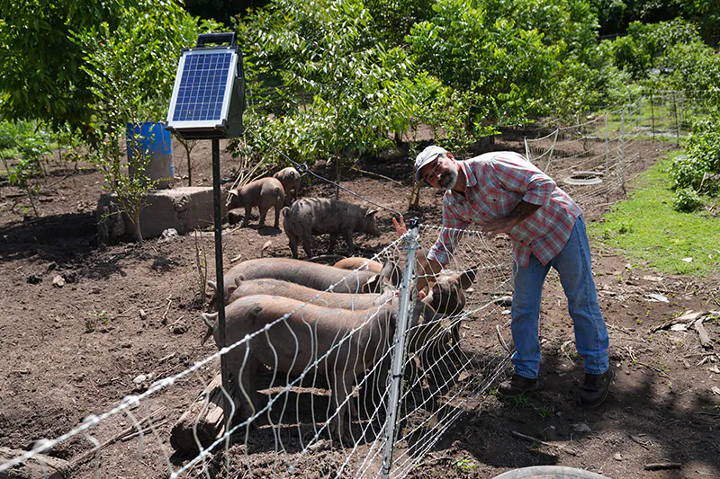 Nostra Raza Finca agroecológica diseñada y gestionada para la sostenibilidad Foto 8