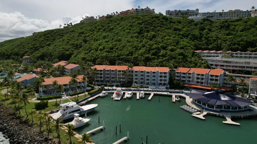 El conquistador social share